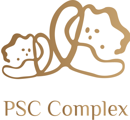 PSC Complex - Connecting Businesses